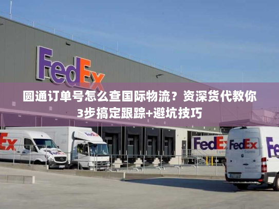 圆通订单号怎么查国际物流?资深货代教你3步搞定跟踪+避坑技巧 圆通订单号怎么查国际物流?资深货代教你3步搞定跟踪+避坑技巧