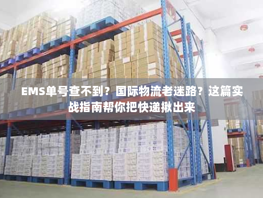 EMS单号查不到?国际物流老迷路?这篇实战指南帮你把快递揪出来 EMS单号查不到?国际物流老迷路?这篇实战指南帮你把快递揪出来