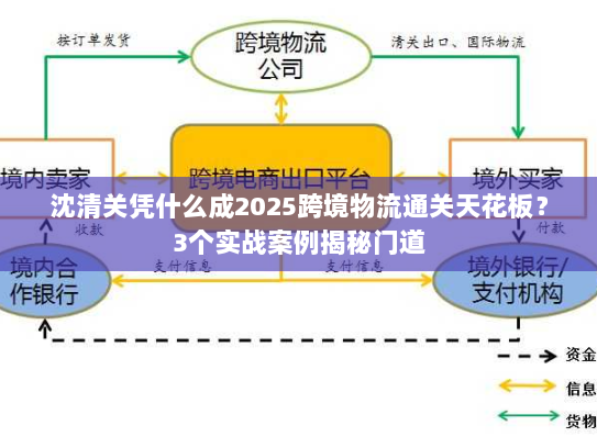 沈清关凭什么成2025跨境物流通关天花板？3个实战案例揭秘门道