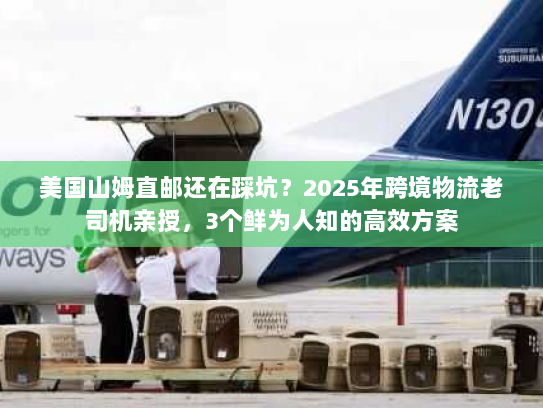 美国山姆直邮还在踩坑?2025年跨境物流老司机亲授,3个鲜为人知的高效方案 美国山姆直邮还在踩坑?2025年跨境物流老司机亲授,3个鲜为人知的高效方案