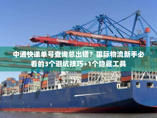 中通快递单号查询总出错?国际物流新手必看的3个避坑技巧+1个隐藏工具 中通快递单号查询总出错?国际物流新手必看的3个避坑技巧+1个隐藏工具