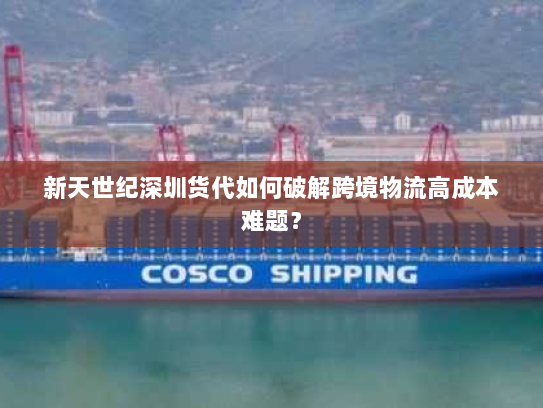 新天世纪深圳货代如何破解跨境物流高成本难题? 新天世纪深圳货代如何破解跨境物流高成本难题?