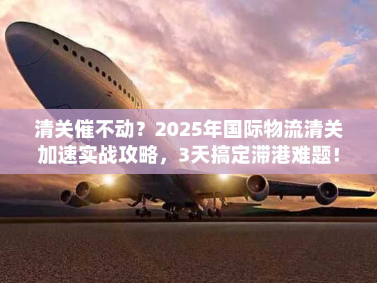 清关催不动？2025年国际物流清关加速实战攻略，3天搞定滞港难题！