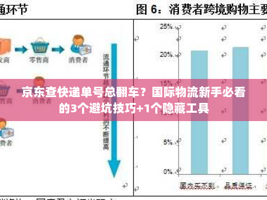 京东查快递单号总翻车?国际物流新手必看的3个避坑技巧+1个隐藏工具 京东查快递单号总翻车?国际物流新手必看的3个避坑技巧+1个隐藏工具