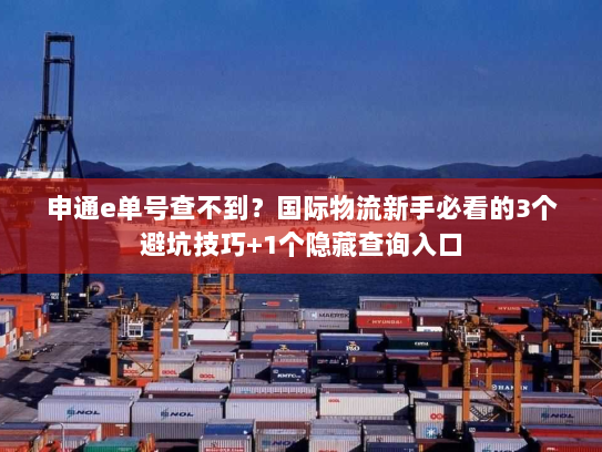 申通e单号查不到？国际物流新手必看的3个避坑技巧+1个隐藏查询入口