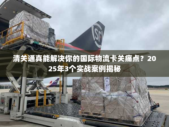 清关通真能解决你的国际物流卡关痛点？2025年3个实战案例揭秘