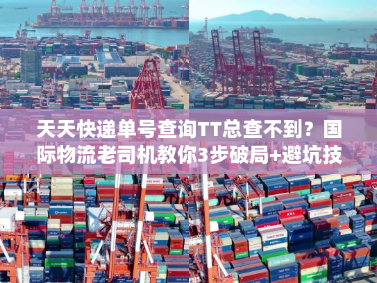 天天快递单号查询TT总查不到？国际物流老司机教你3步破局+避坑技巧
