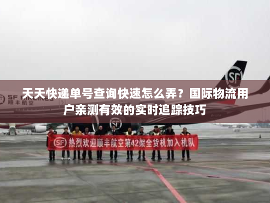 天天快递单号查询快速怎么弄？国际物流用户亲测有效的实时追踪技巧