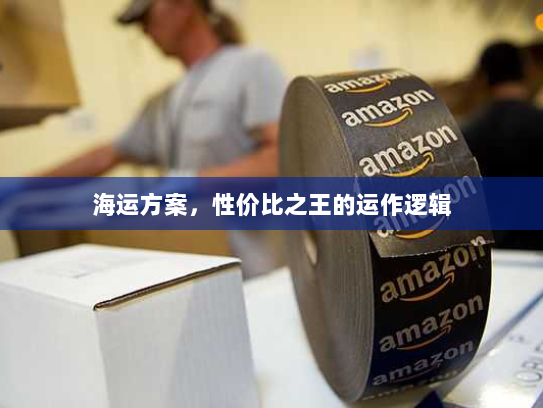 海运方案，性价比之王的运作逻辑