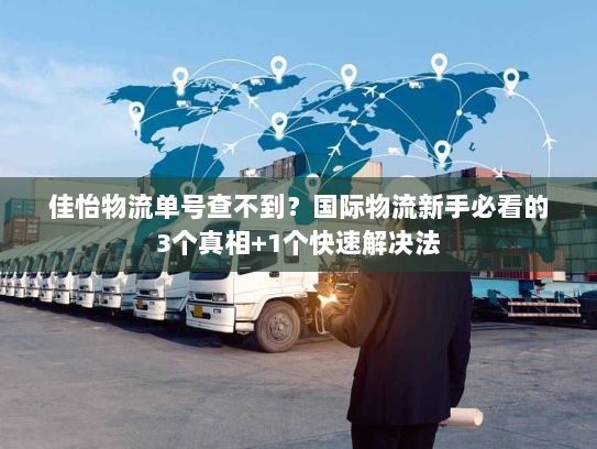 佳怡物流单号查不到？国际物流新手必看的3个真相+1个快速解决法