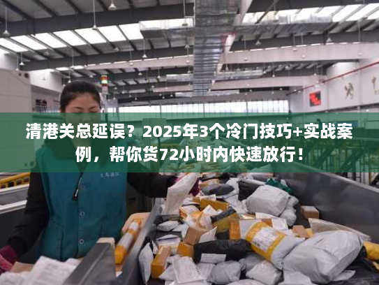 清港关总延误？2025年3个冷门技巧+实战案例，帮你货72小时内快速放行！