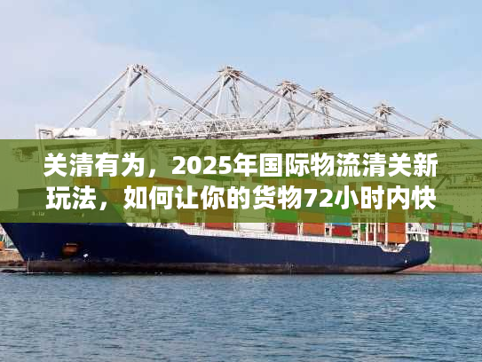 关清有为，2025年国际物流清关新玩法，如何让你的货物72小时内快速放行？