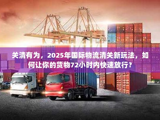 关清有为，2025年国际物流清关新玩法，如何让你的货物72小时内快速放行？