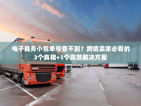 电子商务小包单号查不到?跨境卖家必看的3个真相+1个高效解决方案 电子商务小包单号查不到?跨境卖家必看的3个真相+1个高效解决方案
