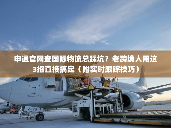 申通官网查国际物流总踩坑？老跨境人用这3招直接搞定（附实时跟踪技巧）