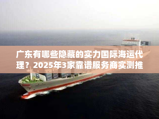 广东有哪些隐藏的实力国际海运代理？2025年3家靠谱服务商实测推荐