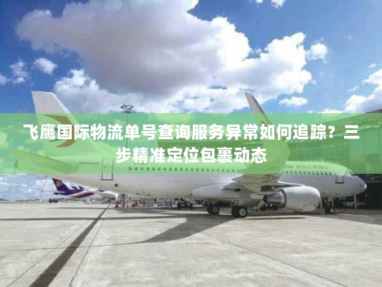 飞鹰国际物流单号查询服务异常如何追踪？三步精准定位包裹动态