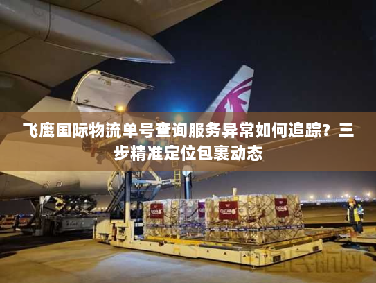 飞鹰国际物流单号查询服务异常如何追踪？三步精准定位包裹动态