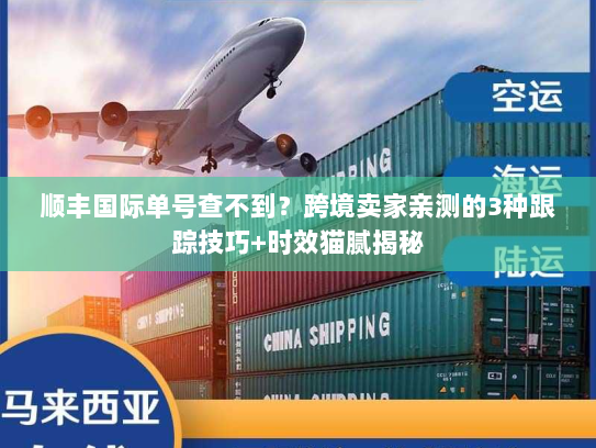 顺丰国际单号查不到？跨境卖家亲测的3种跟踪技巧+时效猫腻揭秘