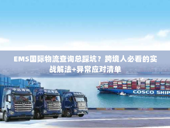 EMS国际物流查询总踩坑？跨境人必看的实战解法+异常应对清单