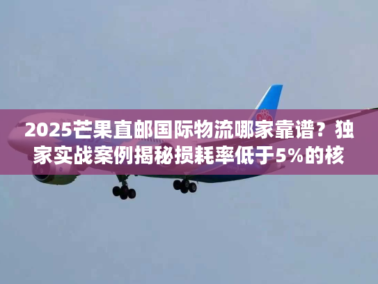 2025芒果直邮国际物流哪家靠谱？独家实战案例揭秘损耗率低于5%的核心技巧