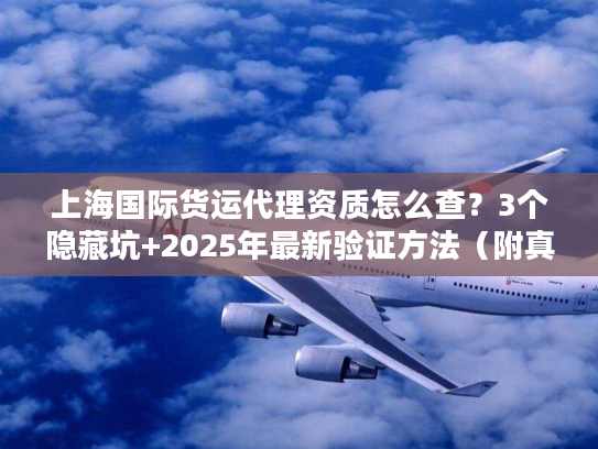 上海国际货运代理资质怎么查？3个隐藏坑+2025年最新验证方法（附真实案例）