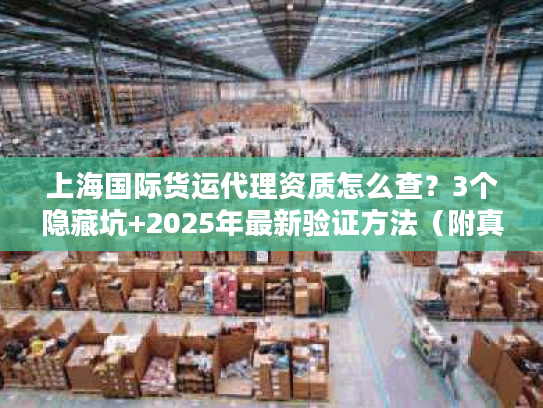 上海国际货运代理资质怎么查？3个隐藏坑+2025年最新验证方法（附真实案例）