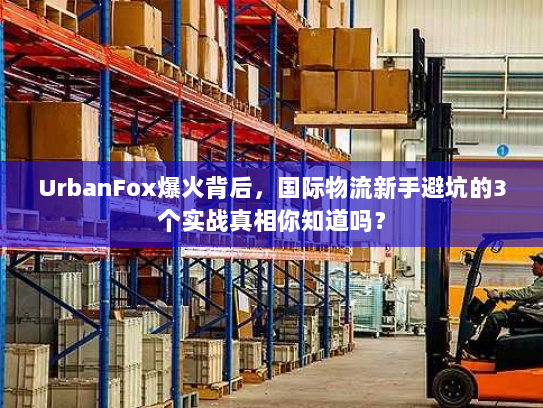 UrbanFox爆火背后,国际物流新手避坑的3个实战真相你知道吗? UrbanFox爆火背后,国际物流新手避坑的3个实战真相你知道吗?