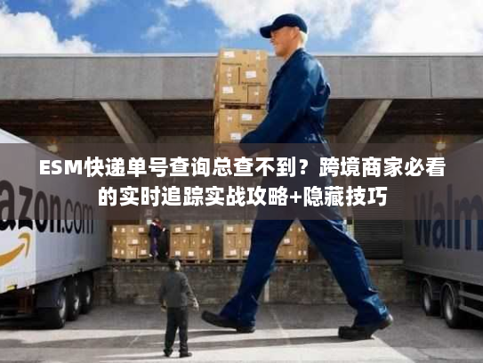 ESM快递单号查询总查不到？跨境商家必看的实时追踪实战攻略+隐藏技巧