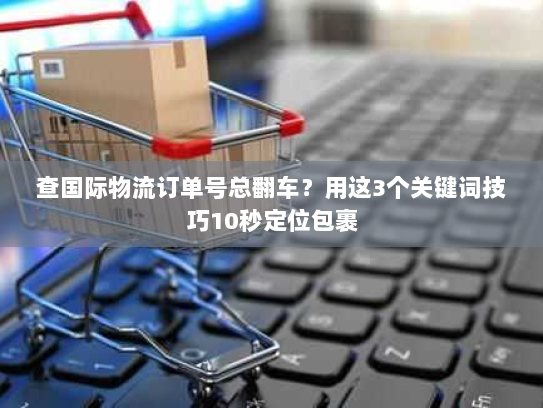 查国际物流订单号总翻车？用这3个关键词技巧10秒定位包裹