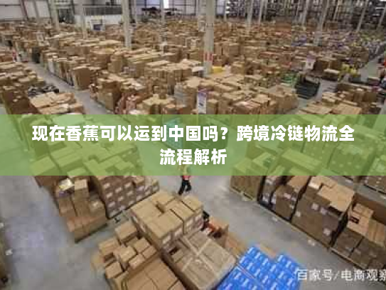 现在香蕉可以运到中国吗?跨境冷链物流全流程解析 现在香蕉可以运到中国吗?跨境冷链物流全流程解析