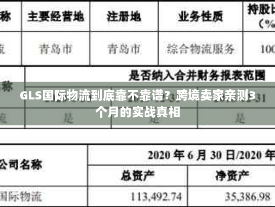 GLS国际物流到底靠不靠谱?跨境卖家亲测3个月的实战真相 GLS国际物流到底靠不靠谱?跨境卖家亲测3个月的实战真相