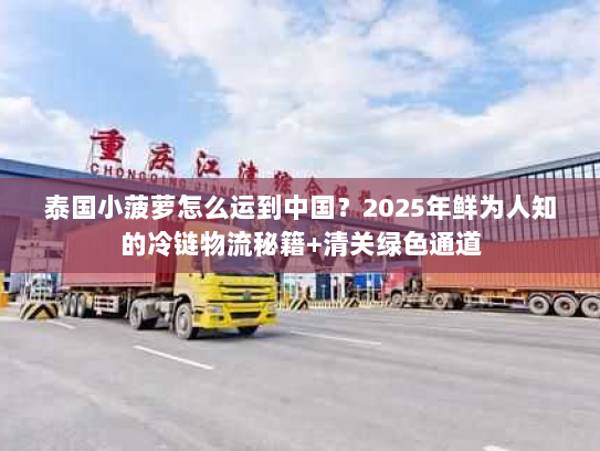 泰国小菠萝怎么运到中国?2025年鲜为人知的冷链物流秘籍+清关绿色通道 泰国小菠萝怎么运到中国?2025年鲜为人知的冷链物流秘籍+清关绿色通道