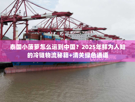 泰国小菠萝怎么运到中国?2025年鲜为人知的冷链物流秘籍+清关绿色通道 泰国小菠萝怎么运到中国?2025年鲜为人知的冷链物流秘籍+清关绿色通道