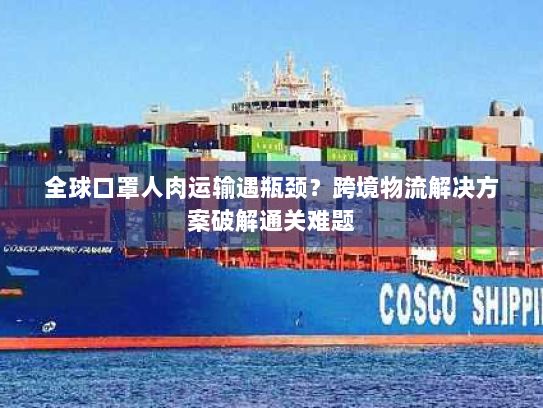 全球口罩人肉运输遇瓶颈？跨境物流解决方案破解通关难题