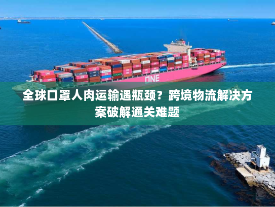 全球口罩人肉运输遇瓶颈？跨境物流解决方案破解通关难题