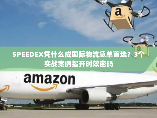 SPEEDEX凭什么成国际物流急单首选？3个实战案例揭开时效密码