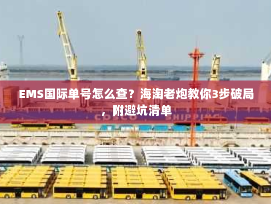 EMS国际单号怎么查？海淘老炮教你3步破局，附避坑清单