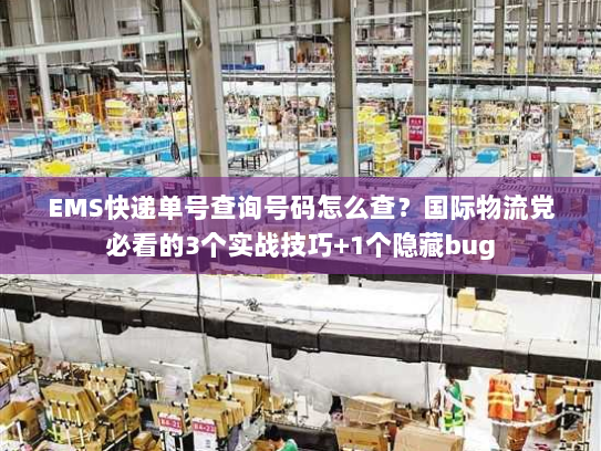 EMS快递单号查询号码怎么查？国际物流党必看的3个实战技巧+1个隐藏bug