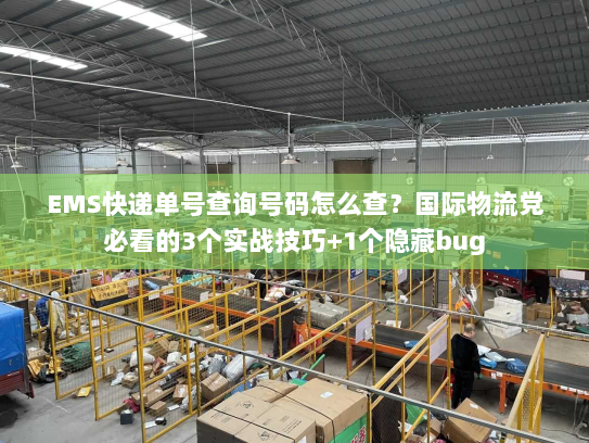 EMS快递单号查询号码怎么查？国际物流党必看的3个实战技巧+1个隐藏bug