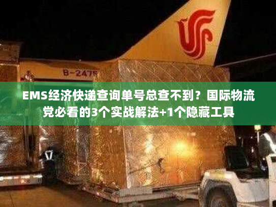EMS经济快递查询单号总查不到?国际物流党必看的3个实战解法+1个隐藏工具 EMS经济快递查询单号总查不到?国际物流党必看的3个实战解法+1个隐藏工具
