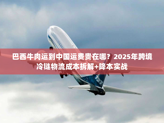 巴西牛肉运到中国运费贵在哪？2025年跨境冷链物流成本拆解+降本实战