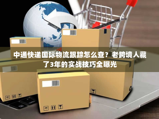 中通快递国际物流跟踪怎么查?老跨境人藏了3年的实战技巧全曝光 中通快递国际物流跟踪怎么查?老跨境人藏了3年的实战技巧全曝光