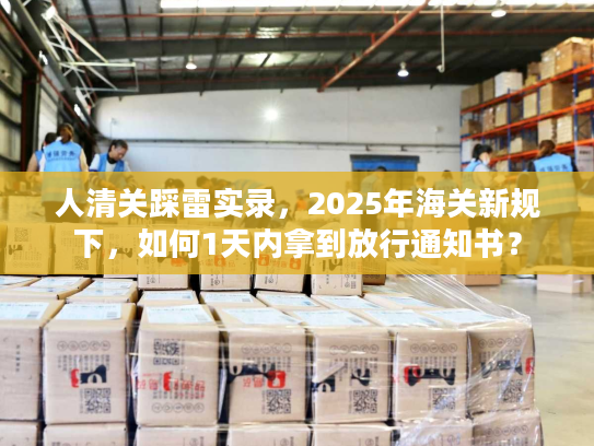 人清关踩雷实录，2025年海关新规下，如何1天内拿到放行通知书？