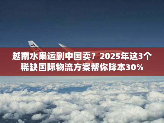 越南水果运到中国卖？2025年这3个稀缺国际物流方案帮你降本30%