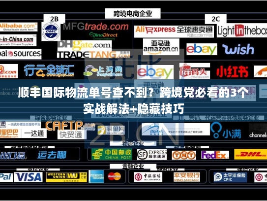 顺丰国际物流单号查不到？跨境党必看的3个实战解法+隐藏技巧