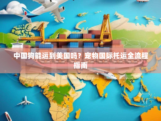 中国狗能运到美国吗?宠物国际托运全流程指南 中国狗能运到美国吗?宠物国际托运全流程指南