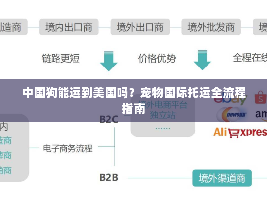中国狗能运到美国吗?宠物国际托运全流程指南 中国狗能运到美国吗?宠物国际托运全流程指南
