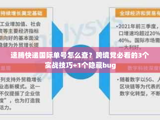 速腾快递国际单号怎么查?跨境党必看的3个实战技巧+1个隐藏bug 速腾快递国际单号怎么查?跨境党必看的3个实战技巧+1个隐藏bug