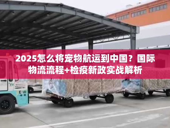 2025怎么将宠物航运到中国?国际物流流程+检疫新政实战解析 2025怎么将宠物航运到中国?国际物流流程+检疫新政实战解析